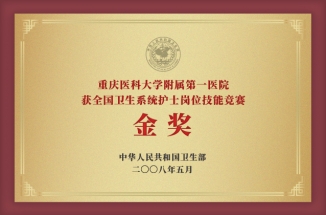全國衛(wèi)生系統(tǒng)護(hù)士崗位技能競(jìng)賽金獎(jiǎng)